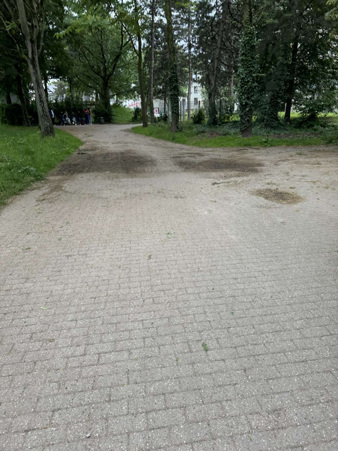 Bild zu gemeldetem Anliegen vom *2024-06-19 16:30:44
