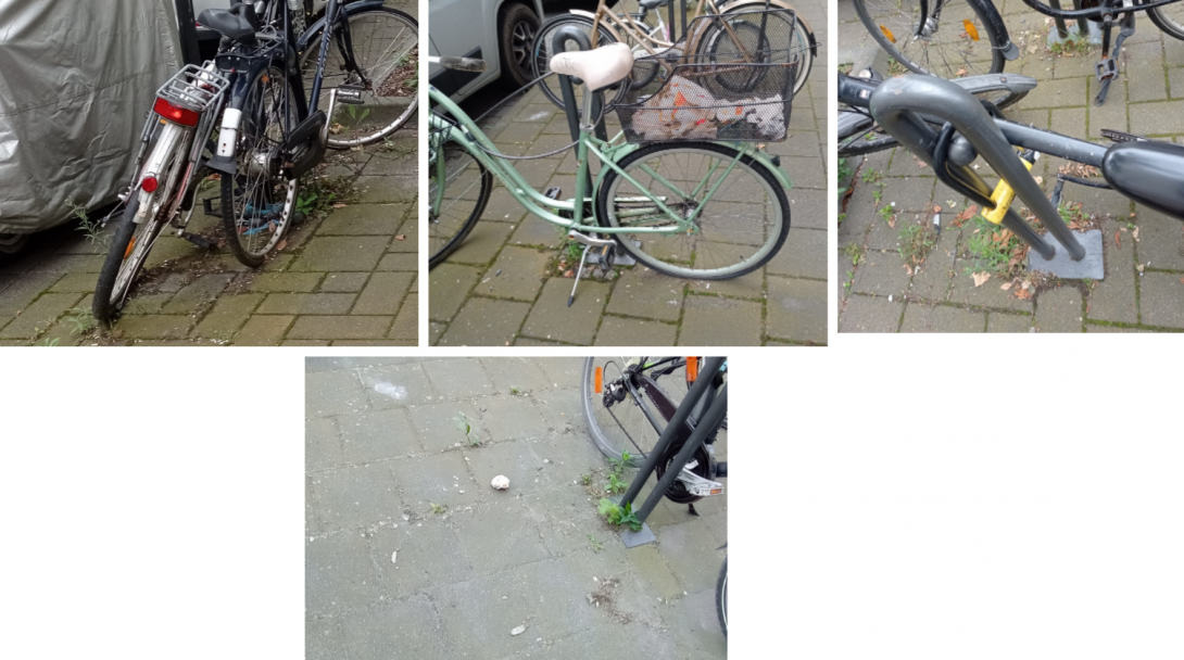 Bild zu gemeldetem Anliegen vom *2024-06-10 10:33:20