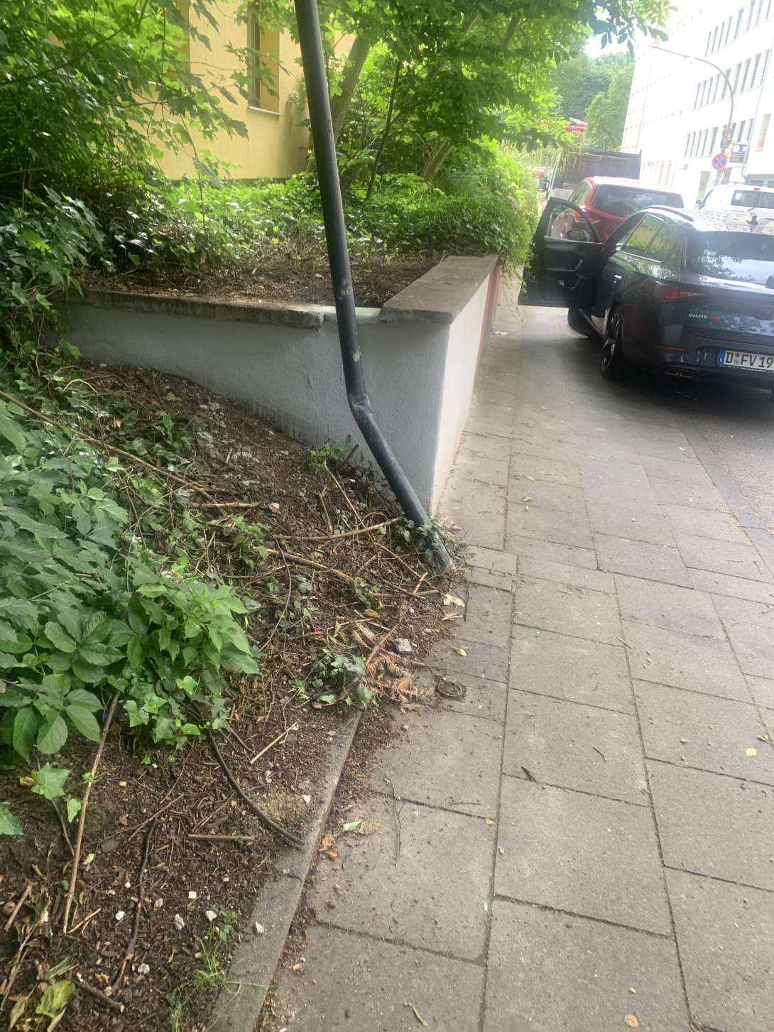 Bild zu gemeldetem Anliegen vom *2024-06-17 09:36:22