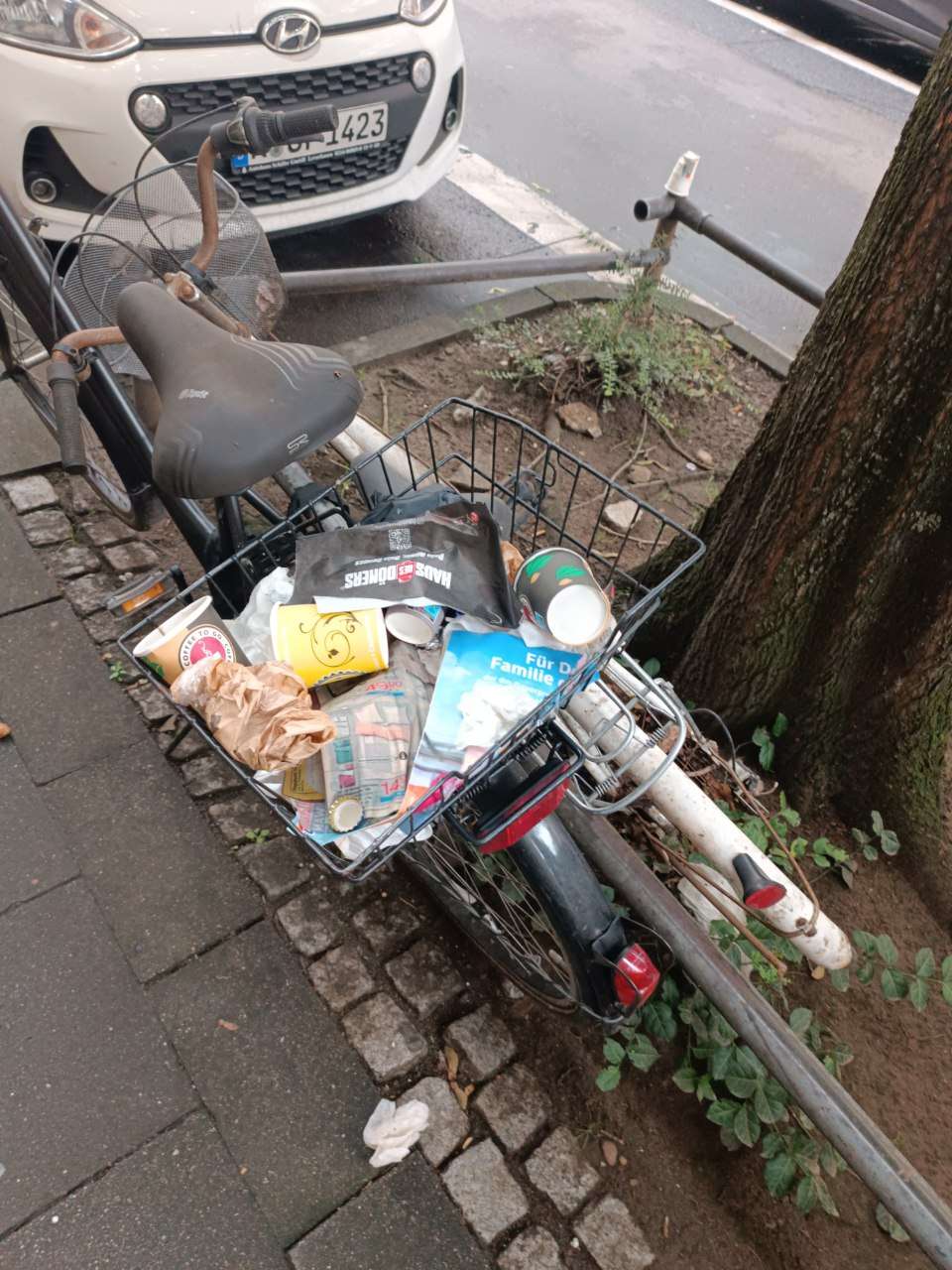 Bild zu gemeldetem Anliegen vom *2024-06-24 11:02:19