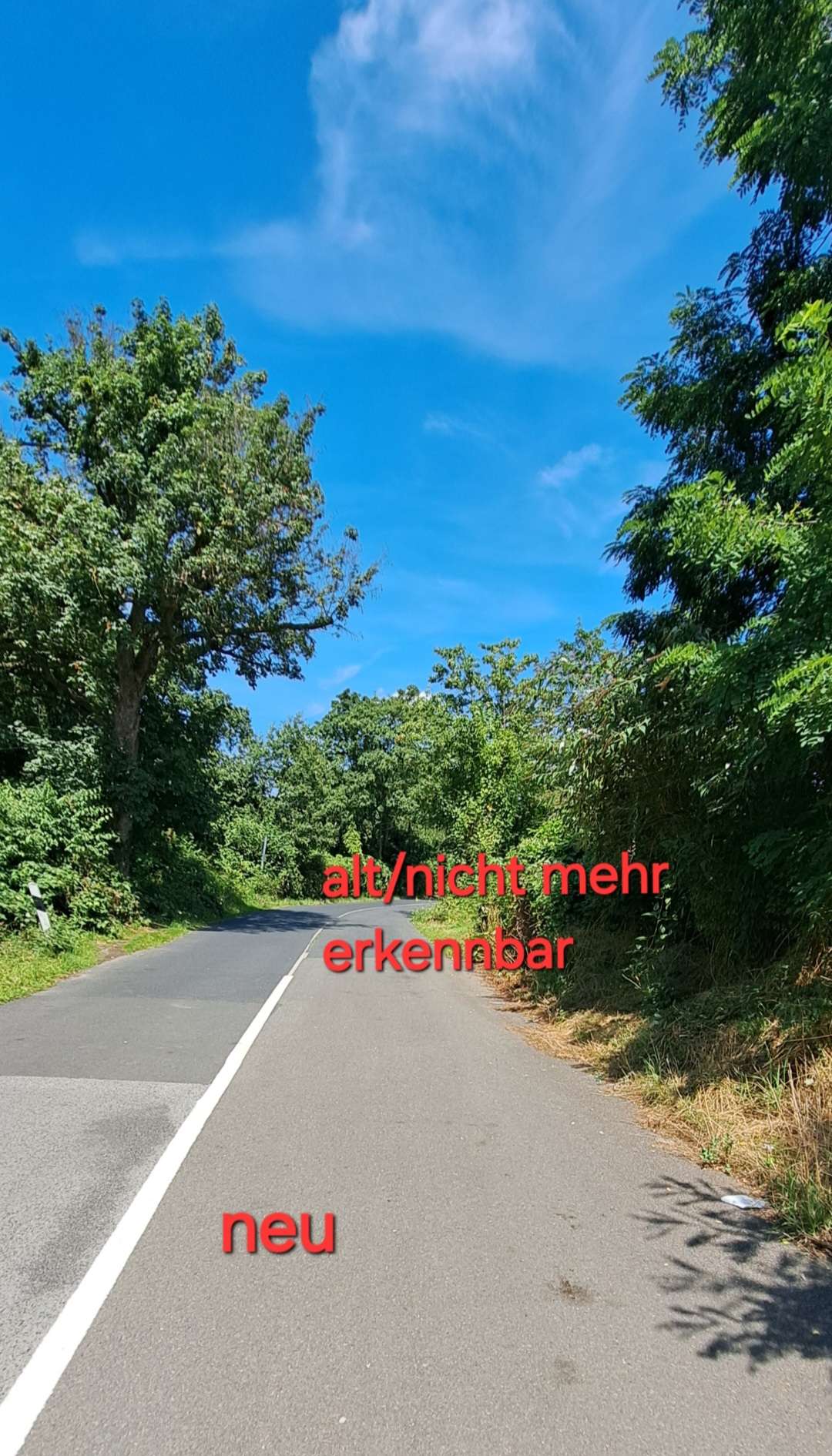 Bild zu gemeldetem Anliegen vom *2024-07-18 12:51:13