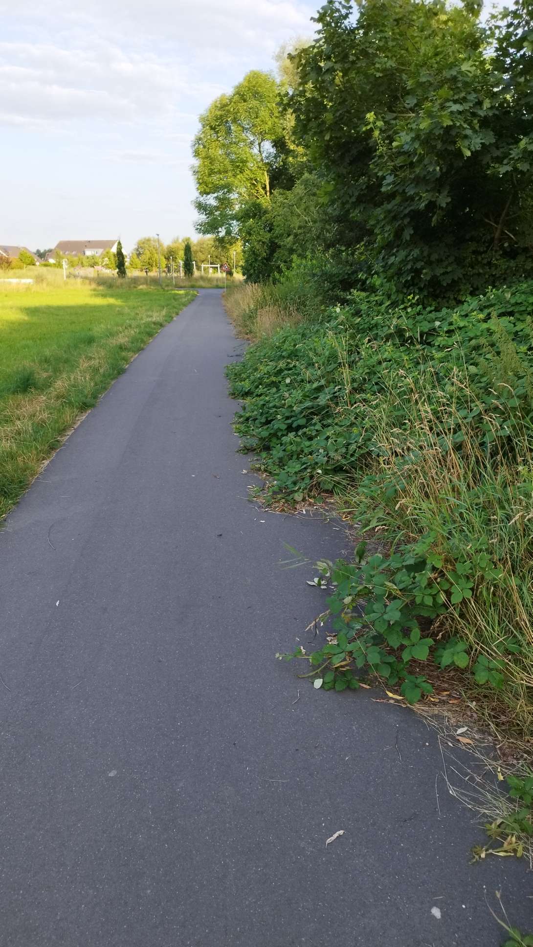 Bild zu gemeldetem Anliegen vom *2024-07-17 20:02:43