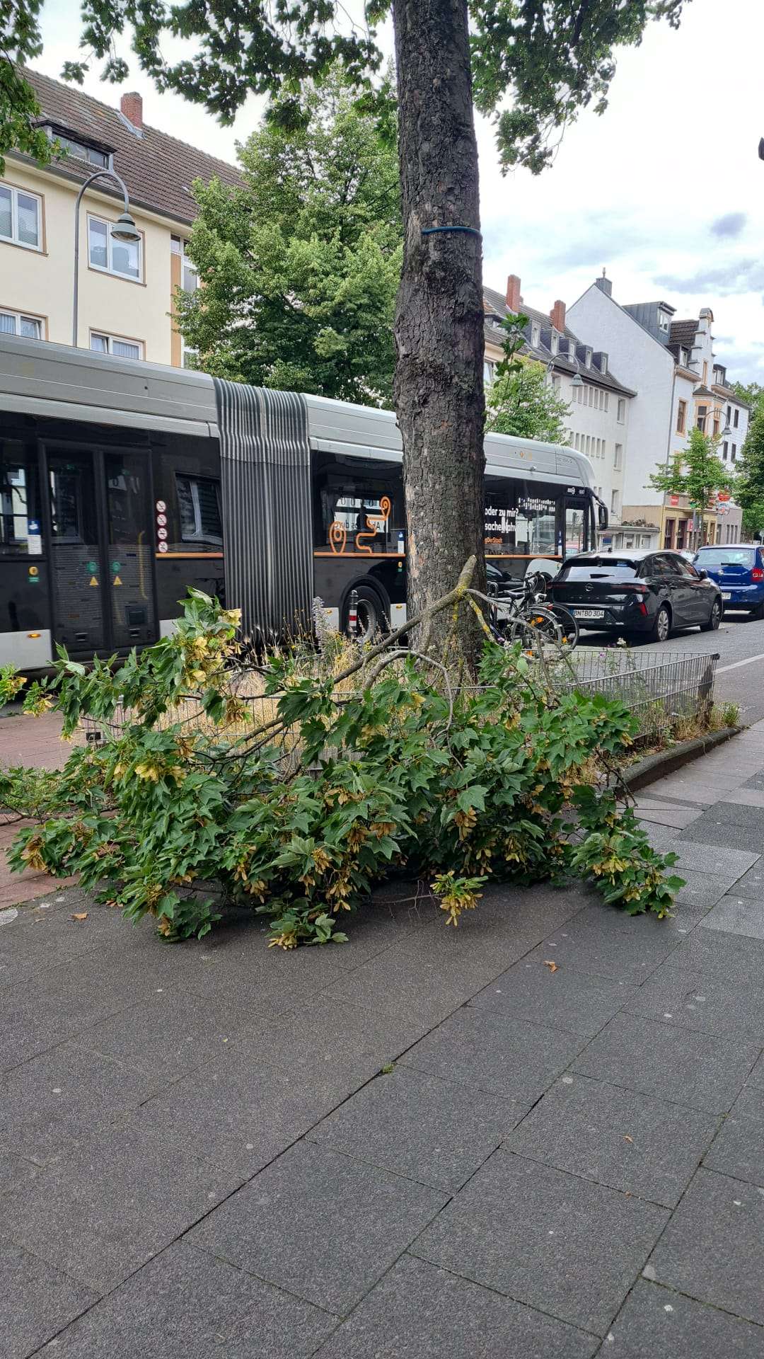 Bild zu gemeldetem Anliegen vom *2024-07-22 11:42:51