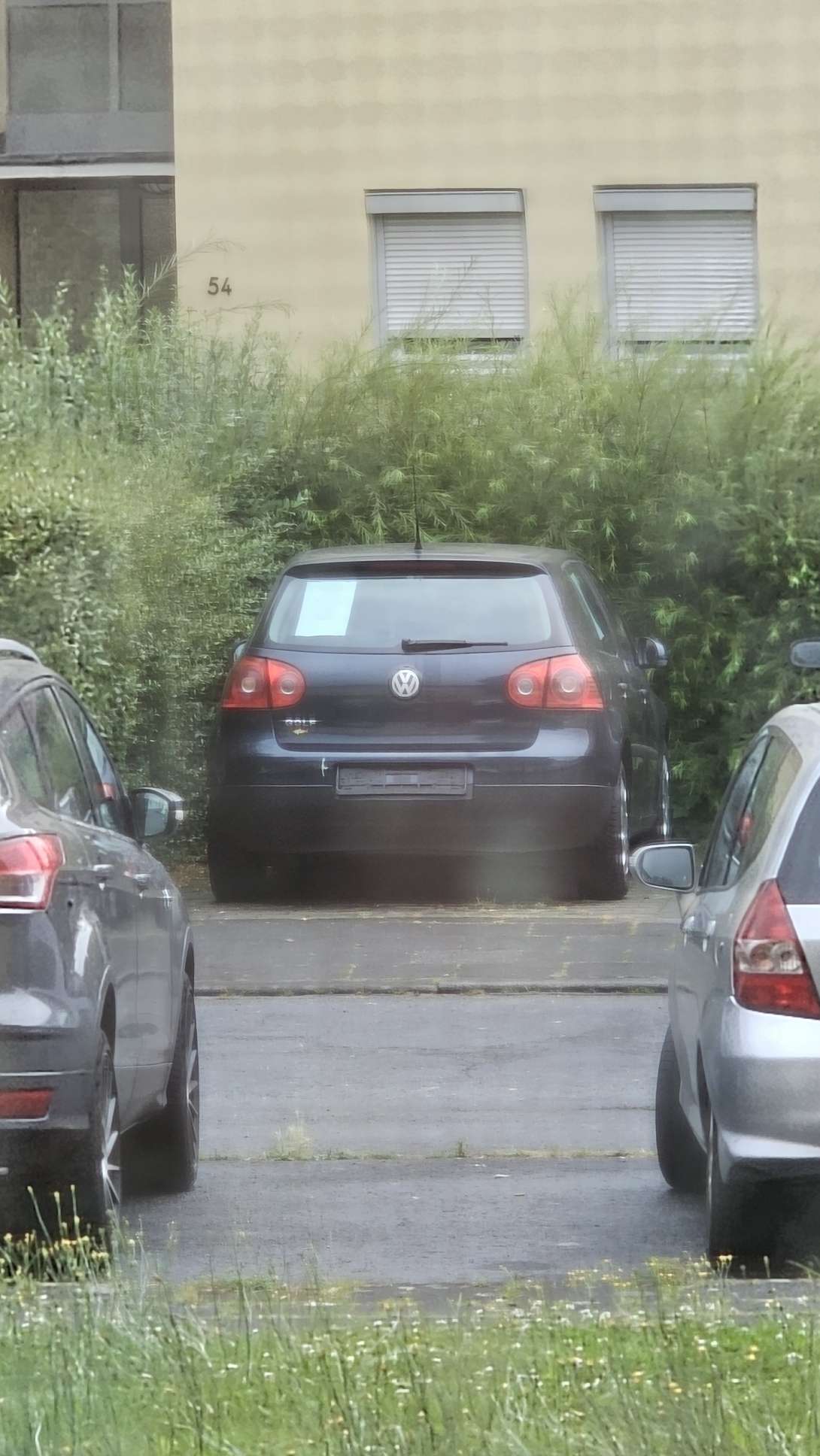 Bild zu gemeldetem Anliegen vom *2024-07-03 09:02:33