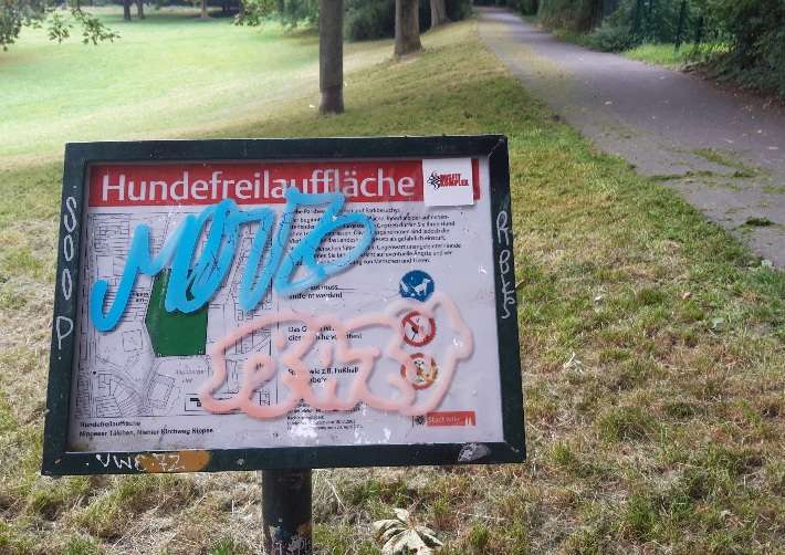 Bild zu gemeldetem Anliegen vom *2024-07-23 09:35:19