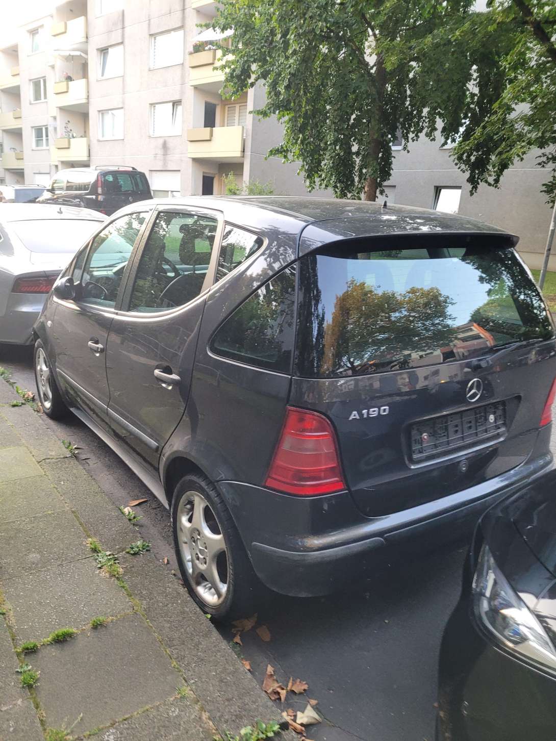 Bild zu gemeldetem Anliegen vom *2024-07-30 21:07:06
