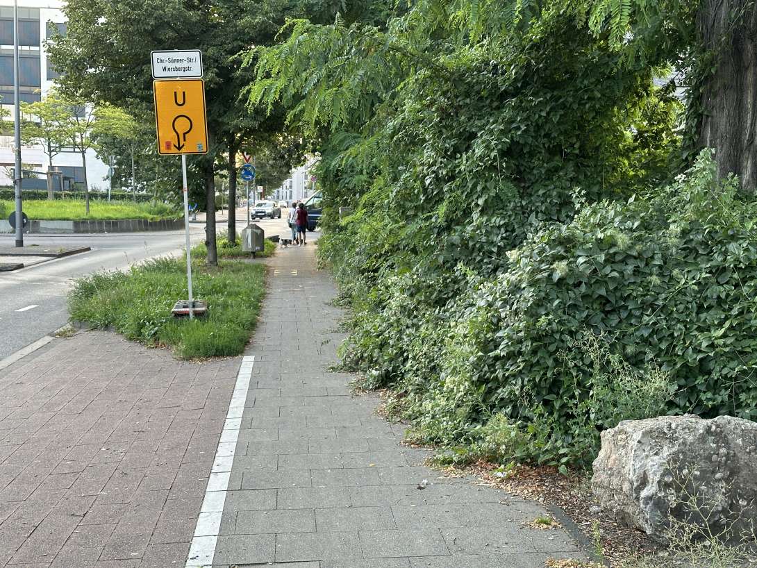 Bild zu gemeldetem Anliegen vom *2024-07-30 20:52:18