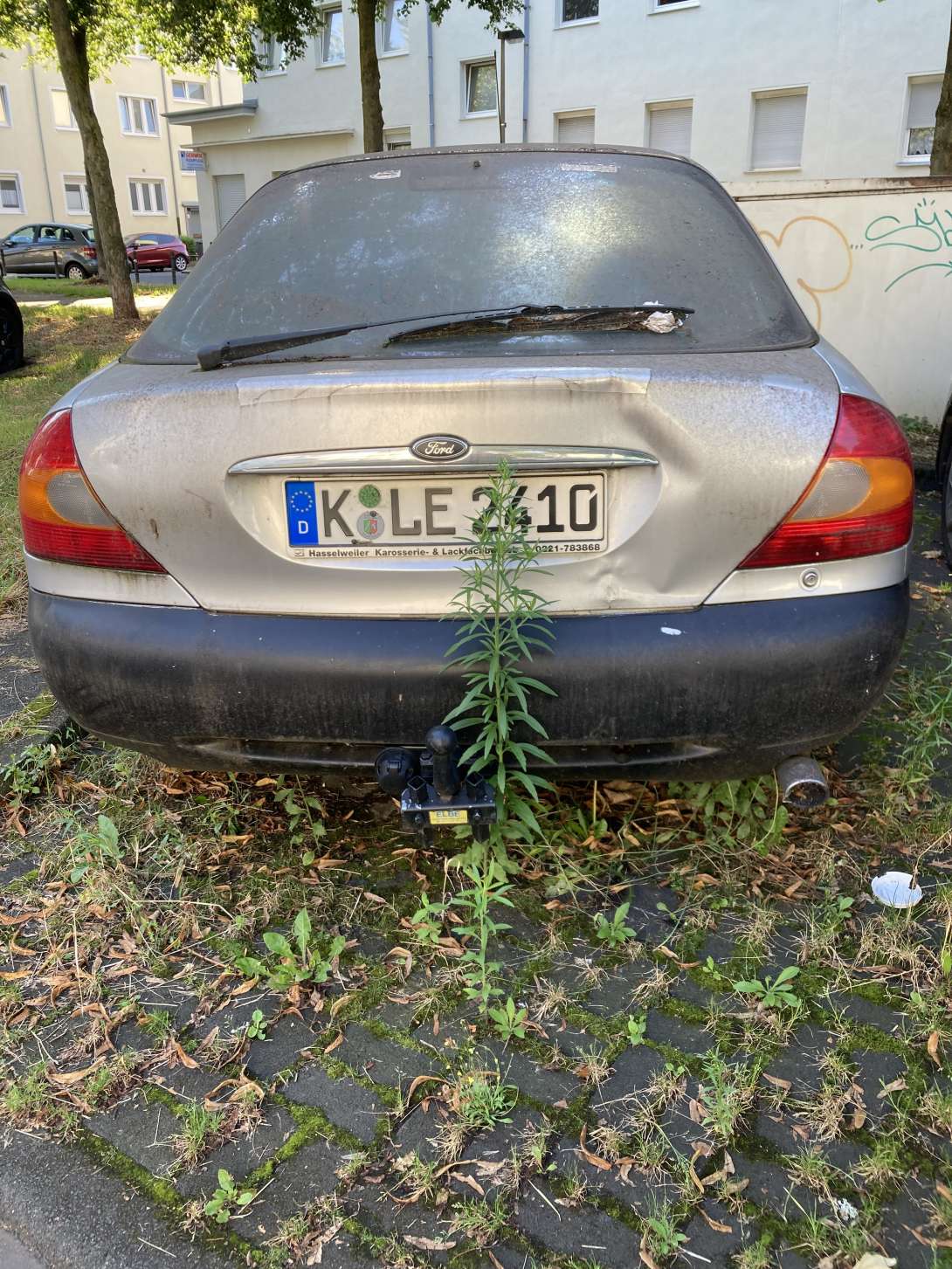 Bild zu gemeldetem Anliegen vom *2024-07-29 08:35:42