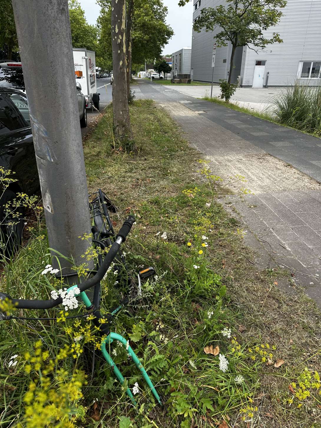 Bild zu gemeldetem Anliegen vom *2024-07-31 11:17:10