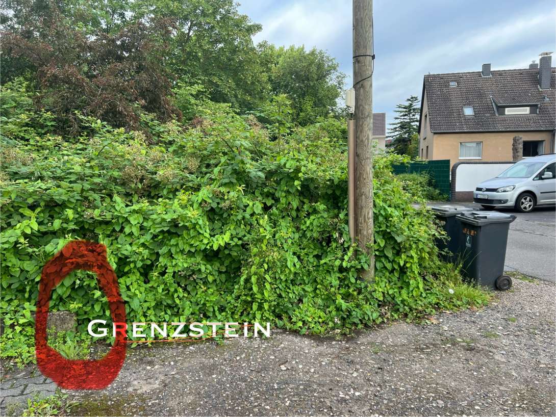 Bild zu gemeldetem Anliegen vom *2024-07-09 19:25:46
