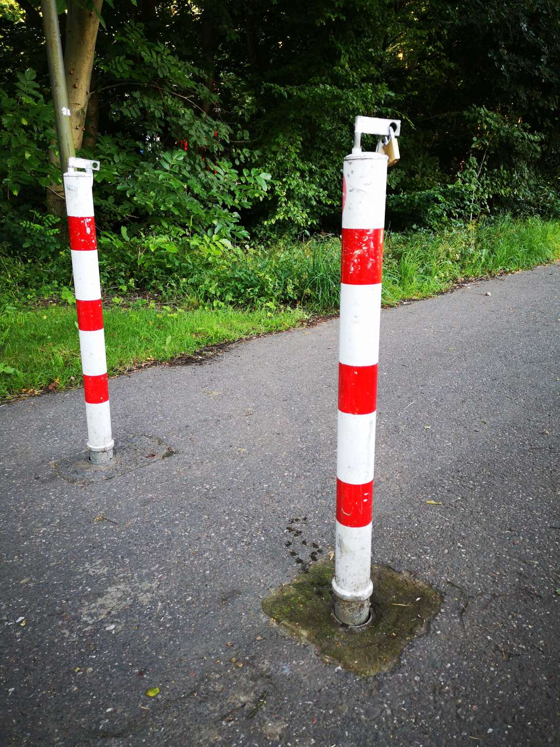 Bild zu gemeldetem Anliegen vom *2024-07-16 14:32:50