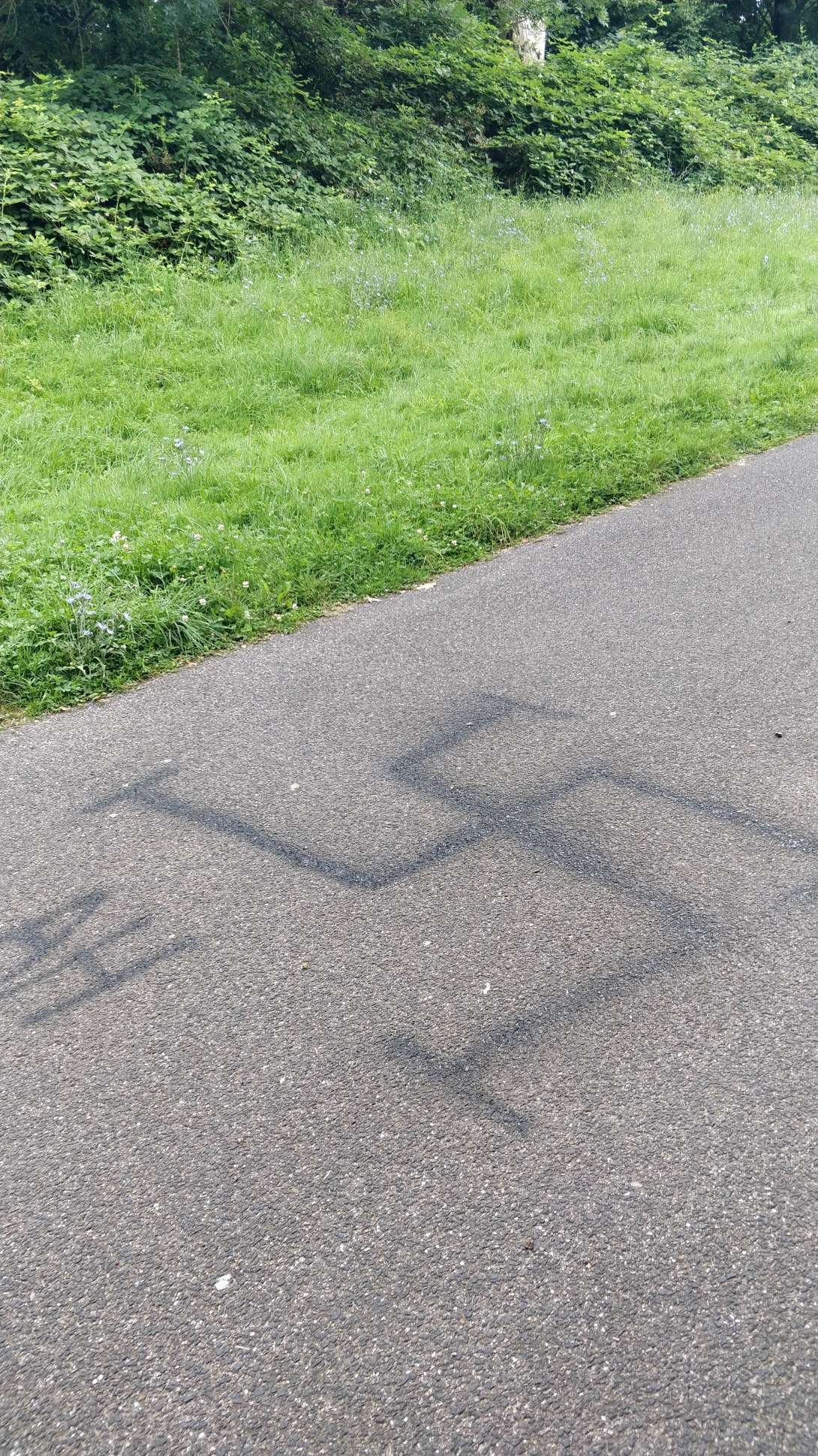 Bild zu gemeldetem Anliegen vom *2024-07-29 08:44:28