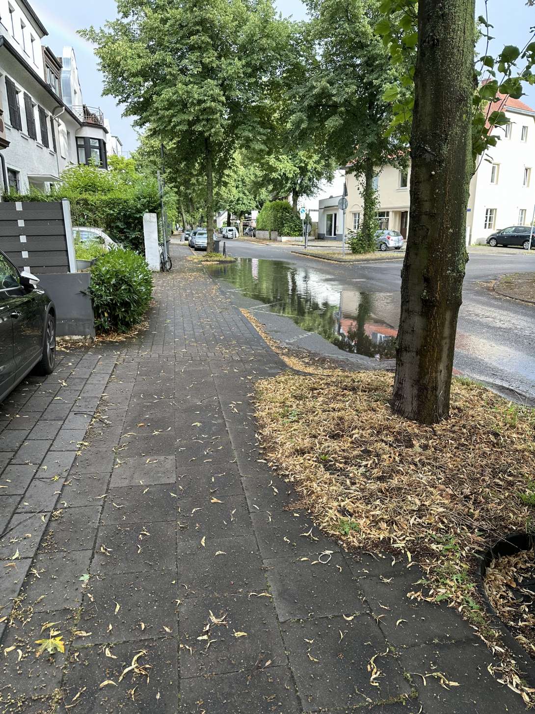 Bild zu gemeldetem Anliegen vom *2024-07-24 17:02:04