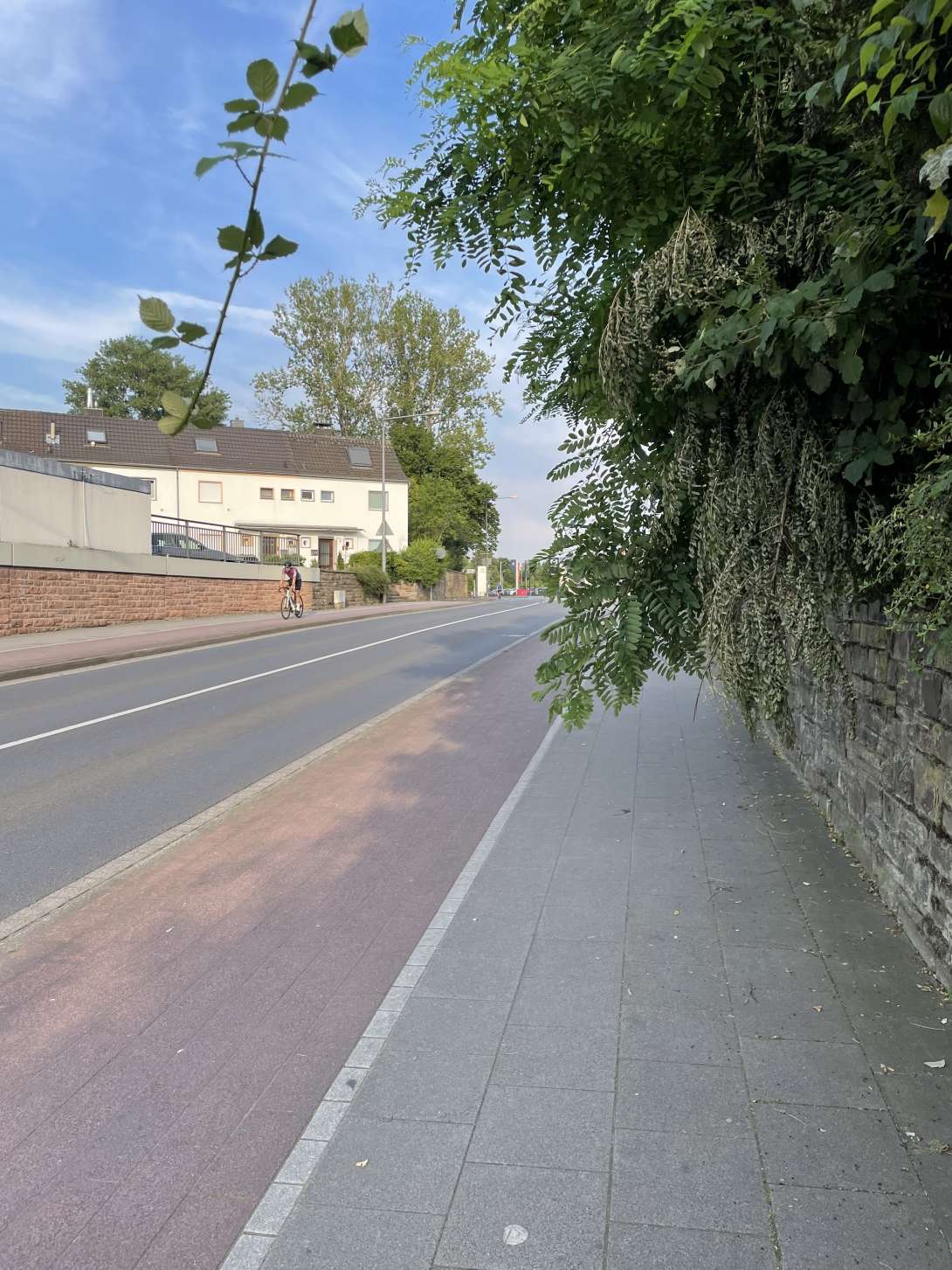Bild zu gemeldetem Anliegen vom *2024-07-03 22:13:34