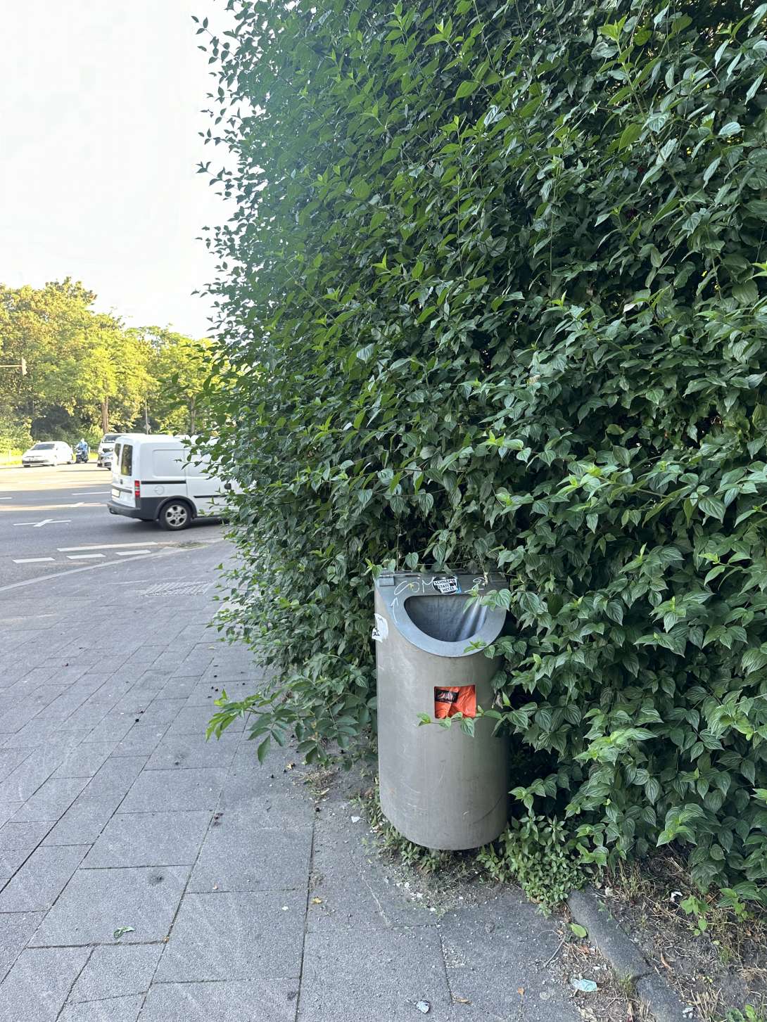 Bild zu gemeldetem Anliegen vom *2024-07-23 06:29:22