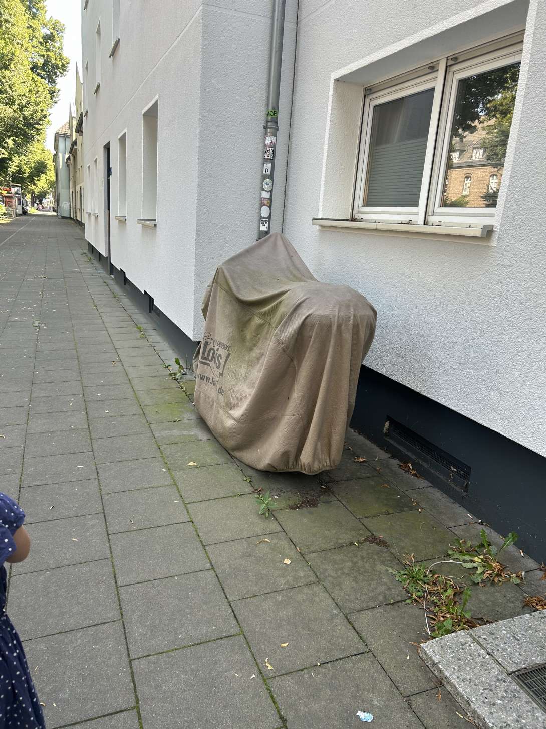 Bild zu gemeldetem Anliegen vom *2024-07-30 17:24:42