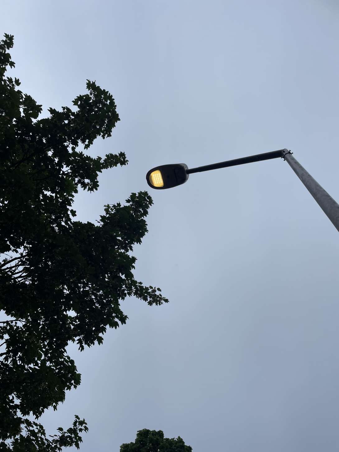 Bild zu gemeldetem Anliegen vom *2024-07-02 14:28:13