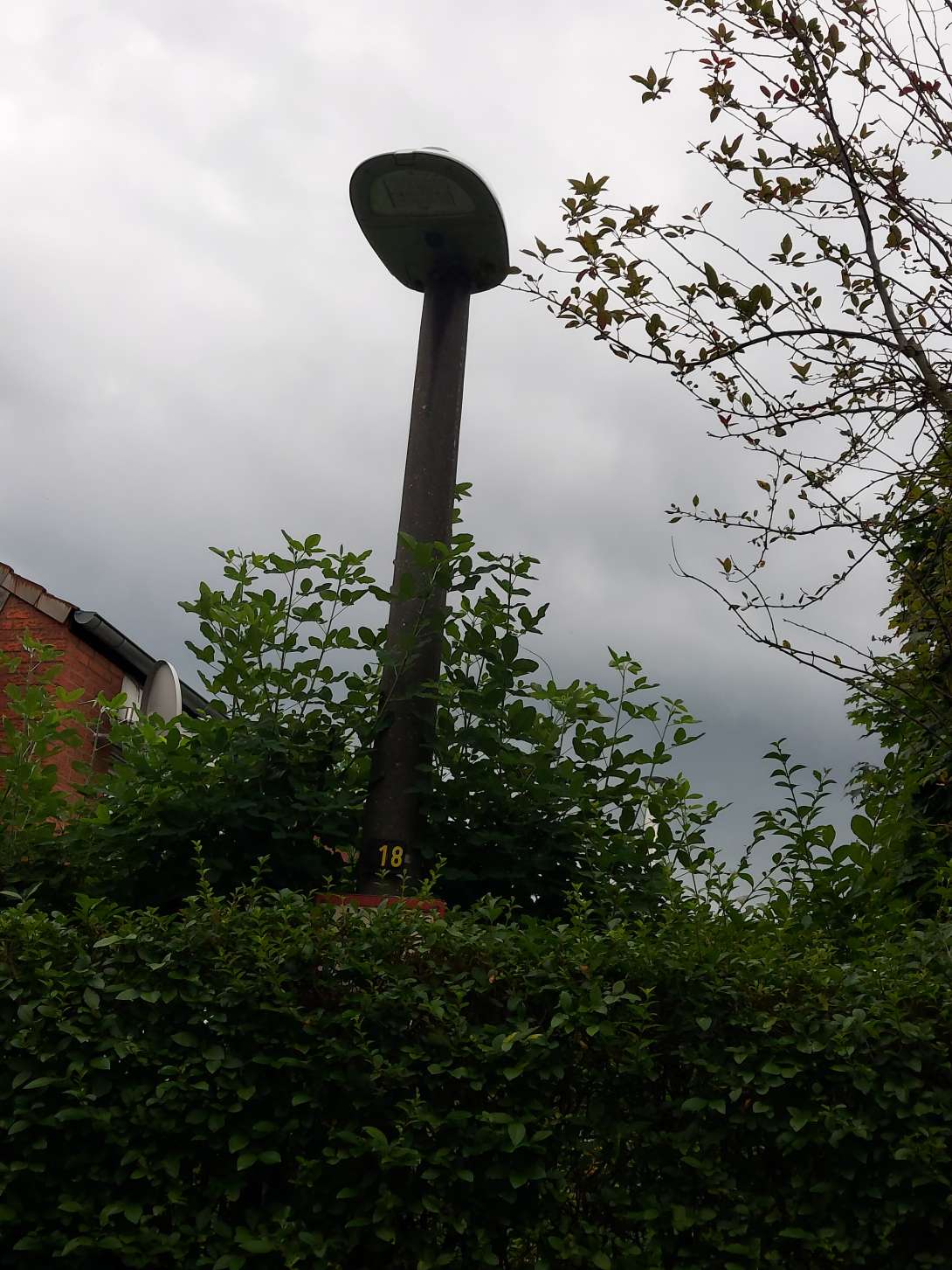 Bild zu gemeldetem Anliegen vom *2024-08-17 12:44:04