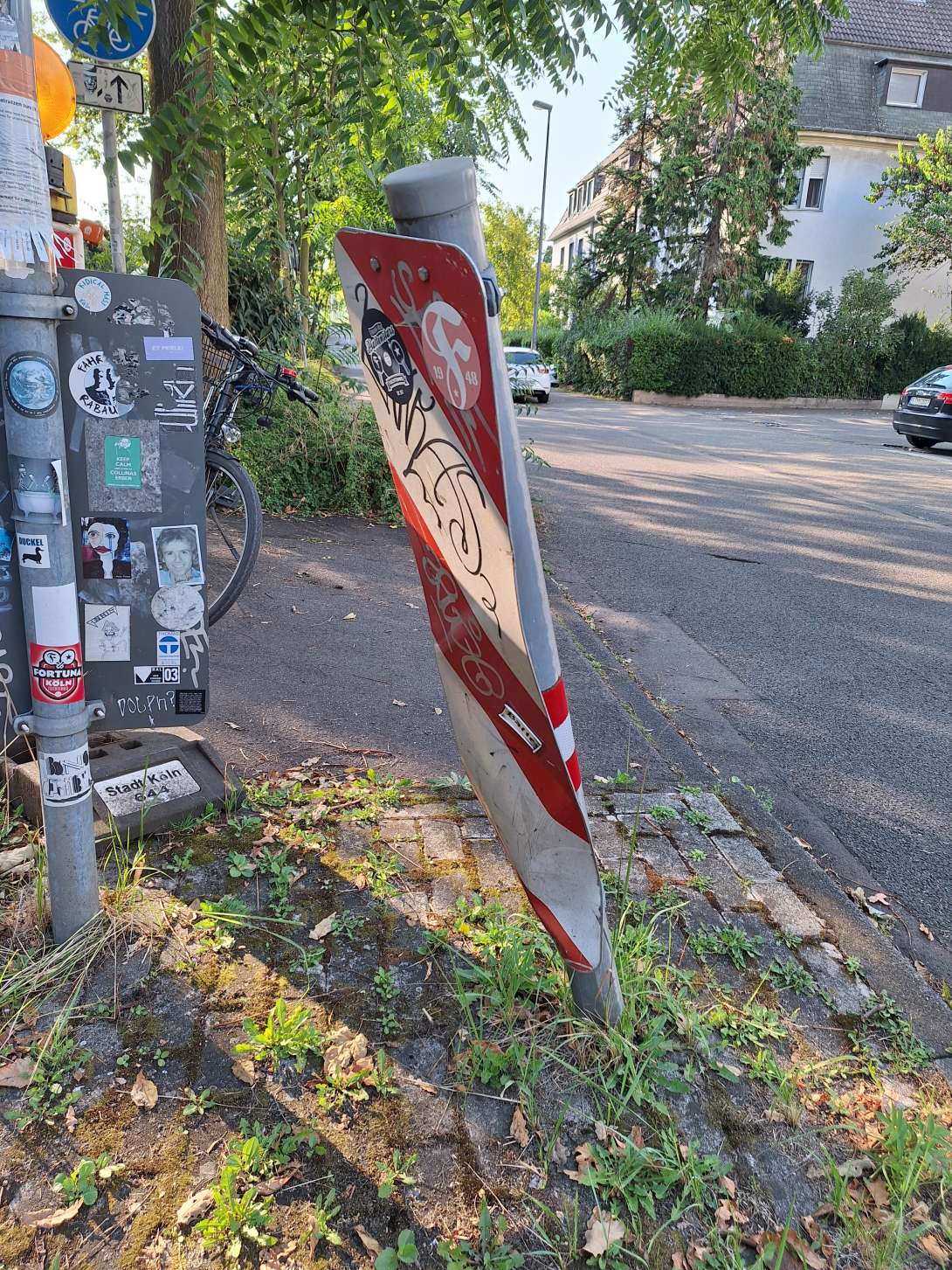 Bild zu gemeldetem Anliegen vom *2024-08-31 18:00:04