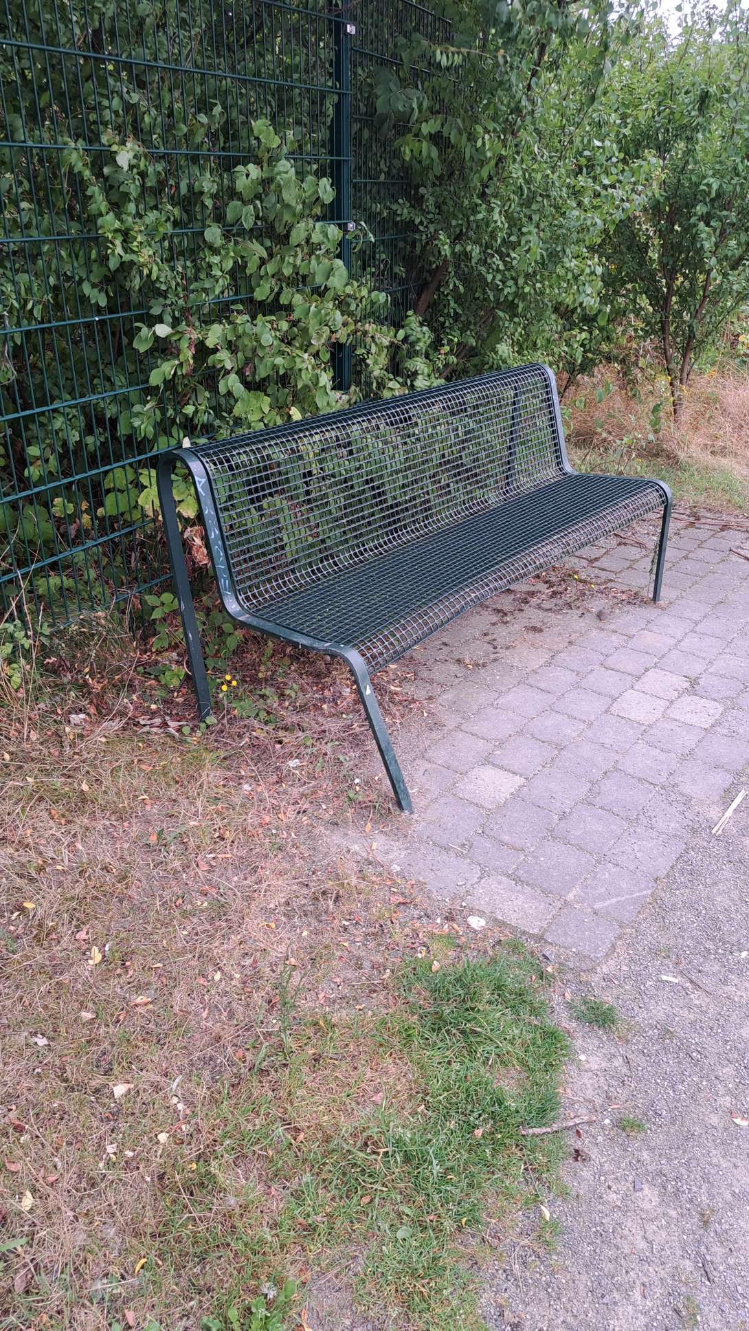 Bild zu gemeldetem Anliegen vom *2024-08-07 14:05:59