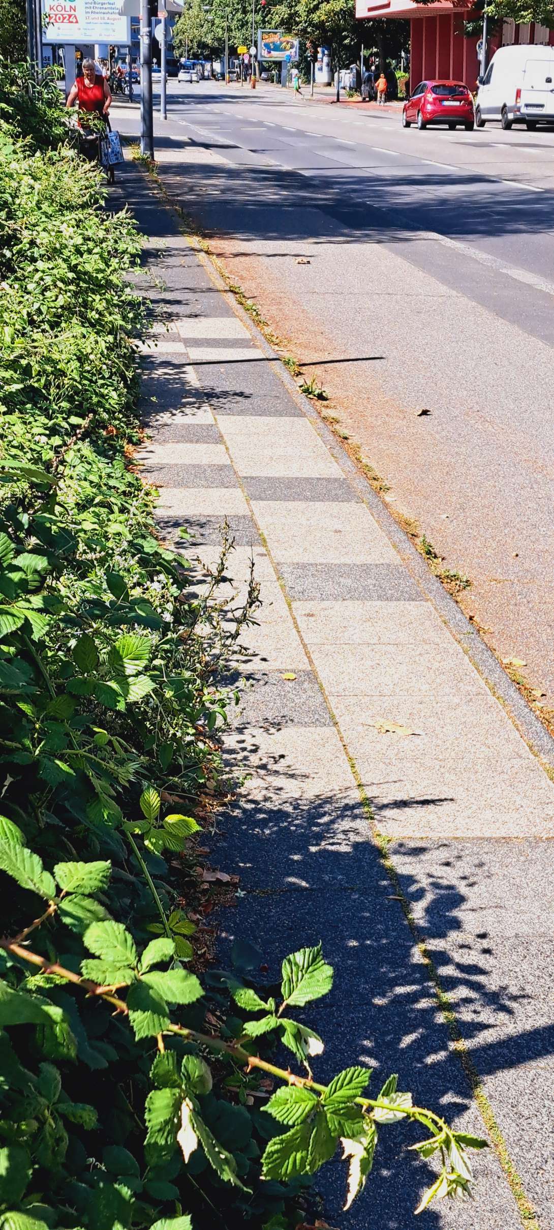 Bild zu gemeldetem Anliegen vom *2024-08-15 14:12:05