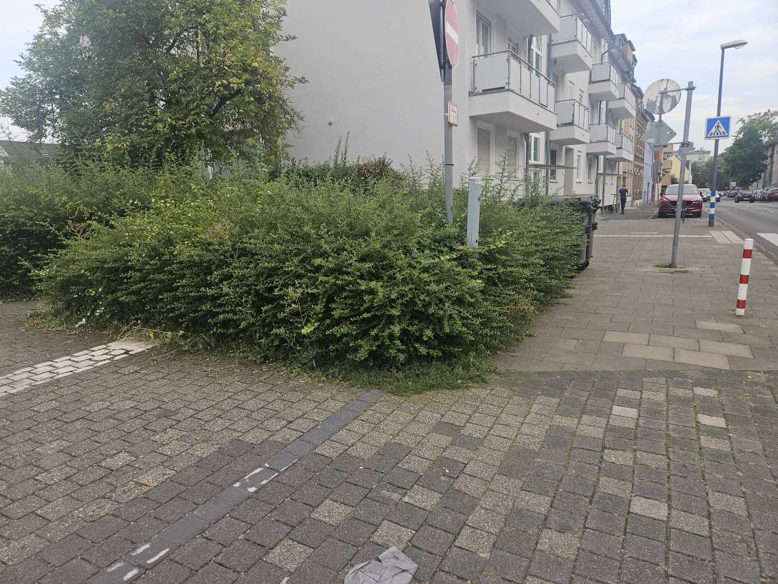 Bild zu gemeldetem Anliegen vom *2024-08-29 21:35:27