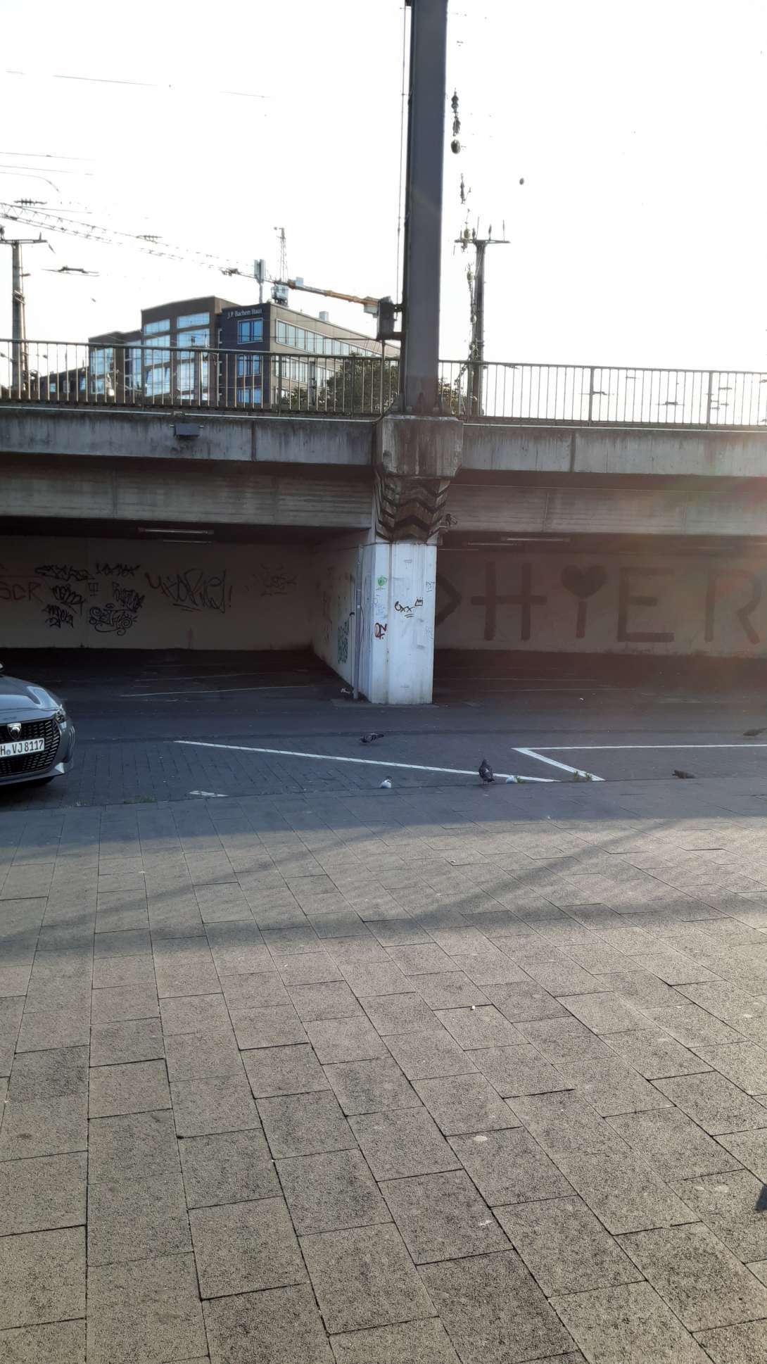 Bild zu gemeldetem Anliegen vom *2024-08-12 20:16:33