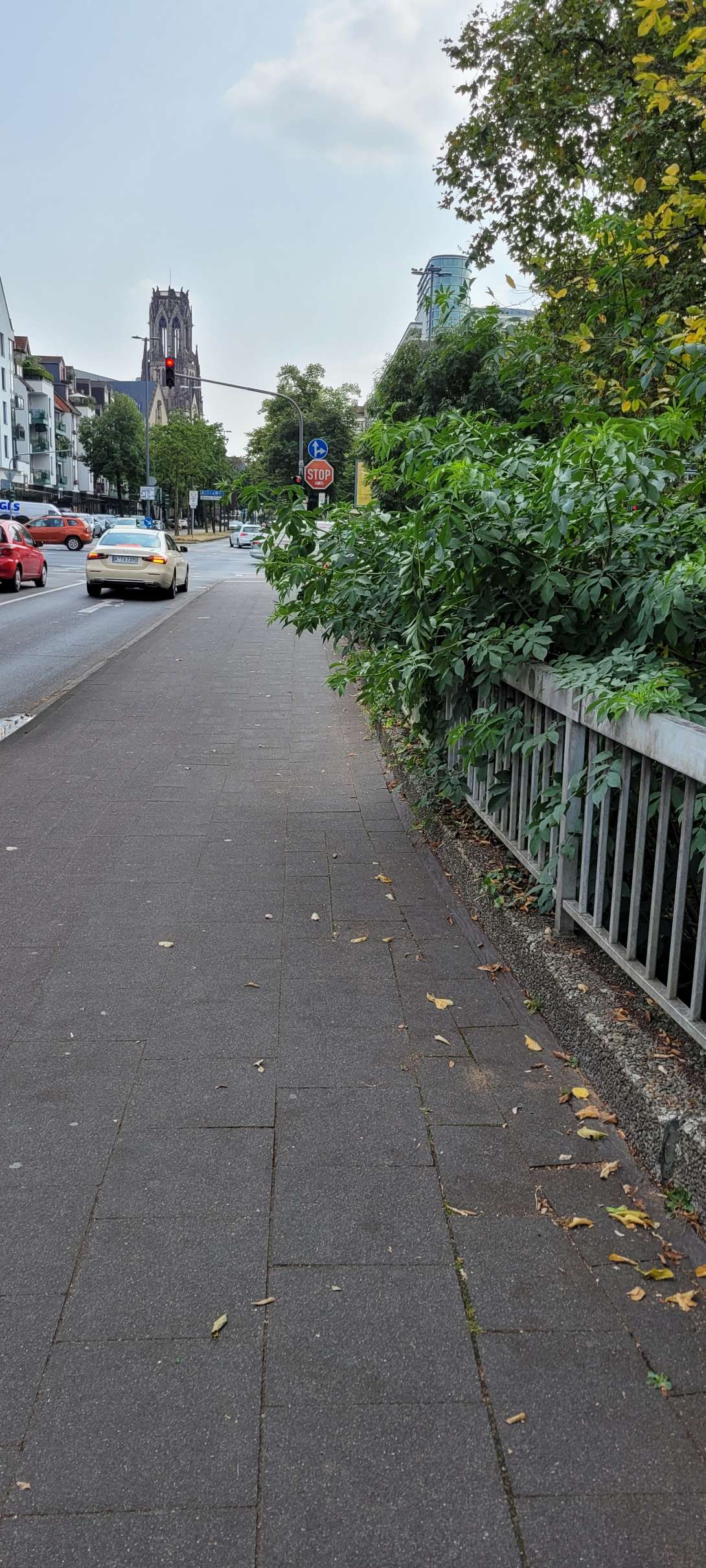 Bild zu gemeldetem Anliegen vom *2024-08-20 18:58:30