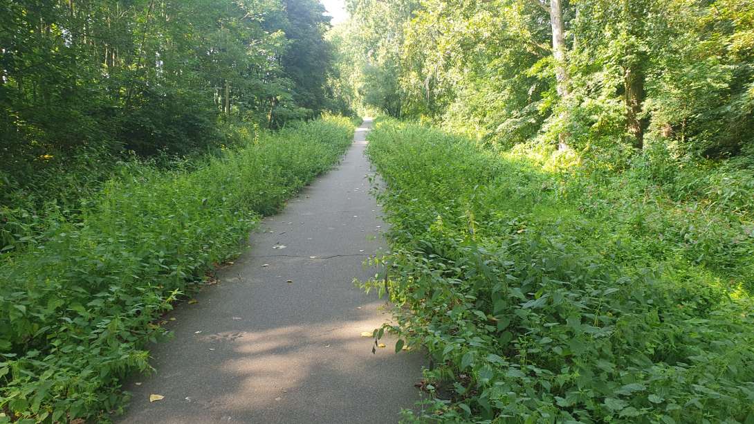 Bild zu gemeldetem Anliegen vom *2024-08-20 11:57:37