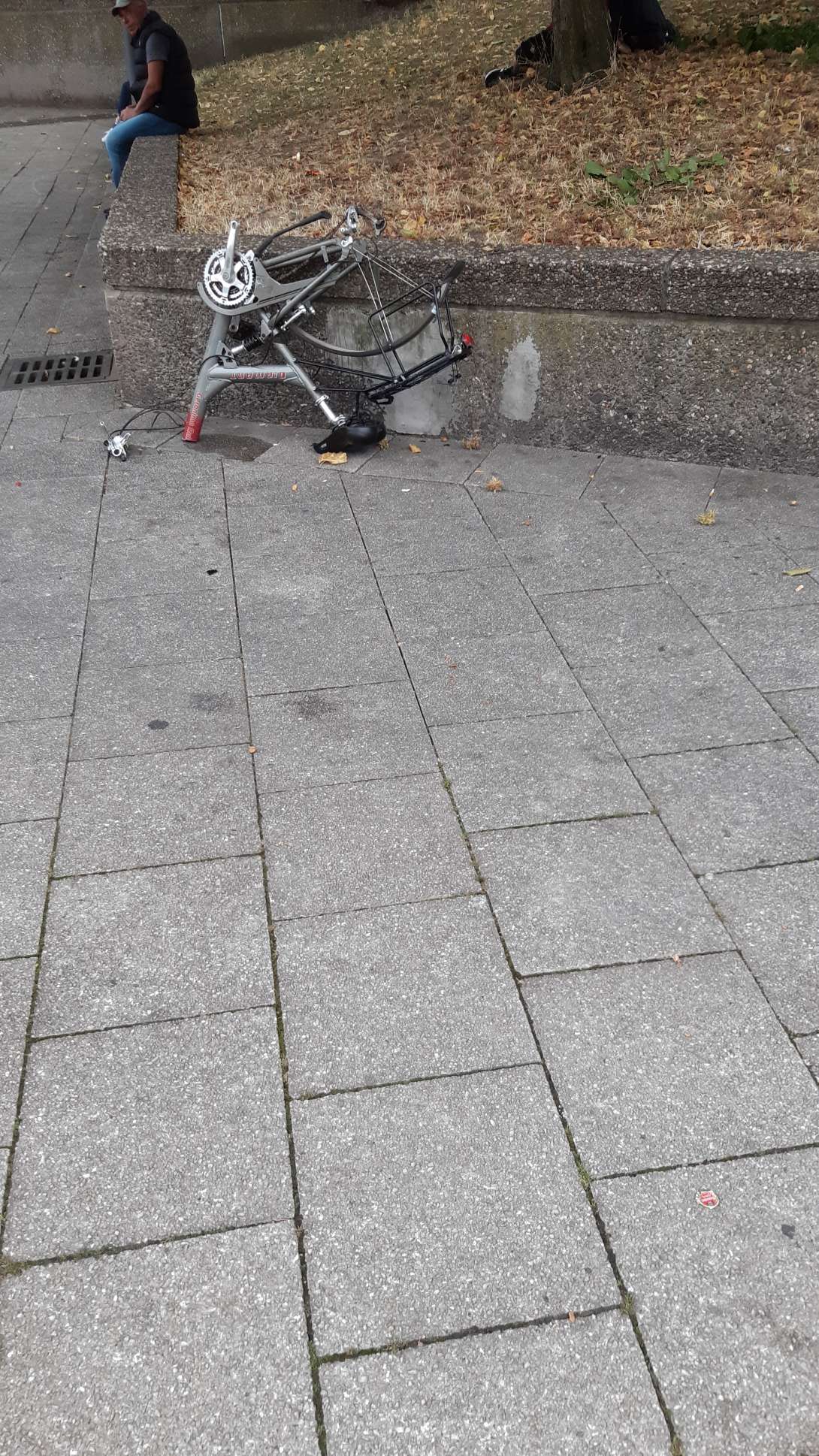 Bild zu gemeldetem Anliegen vom *2024-08-26 06:37:47