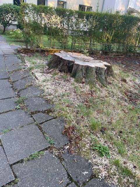 Bild zu gemeldetem Anliegen vom *2024-08-28 12:34:39