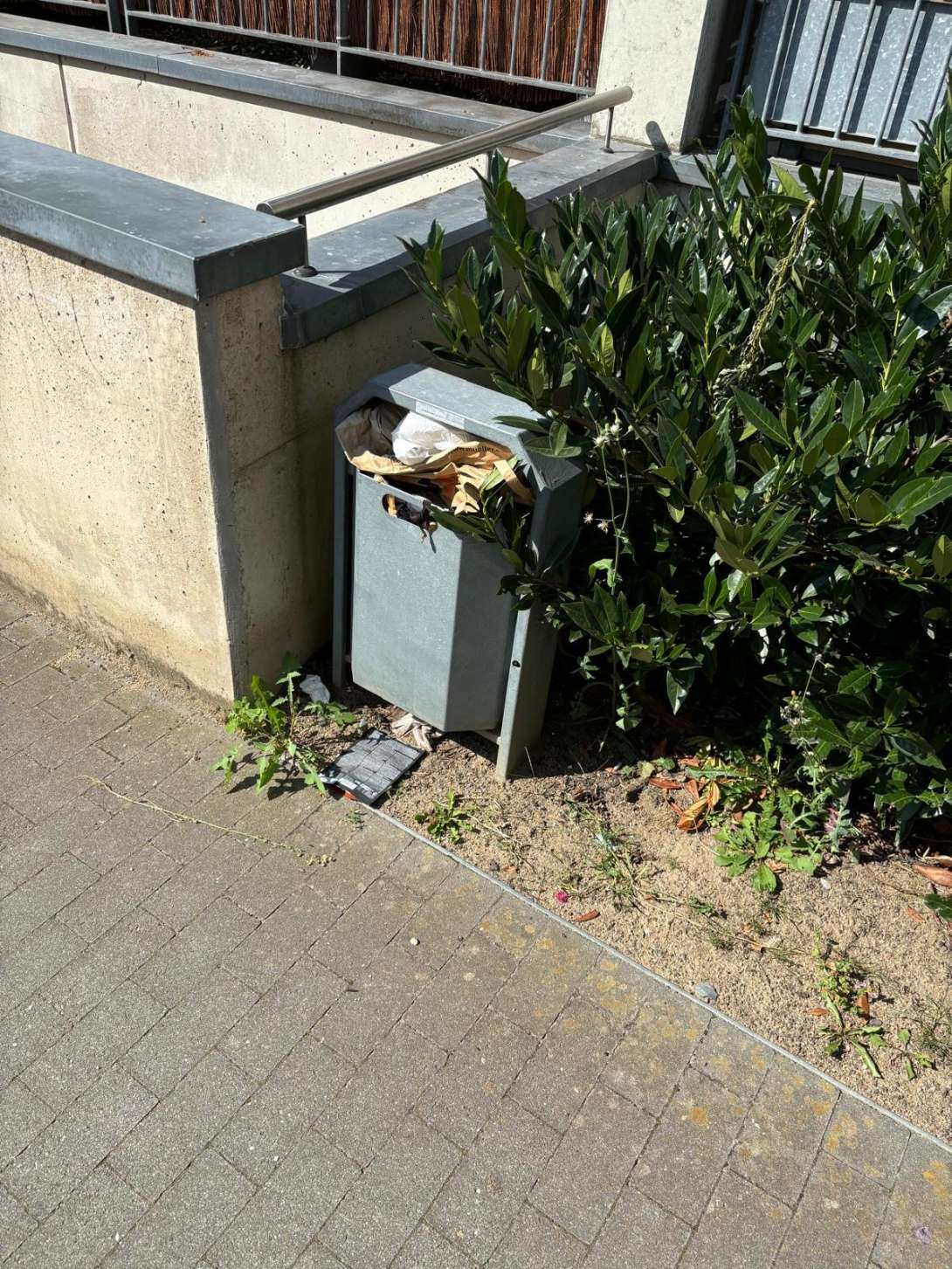 Bild zu gemeldetem Anliegen vom *2024-08-12 12:21:50