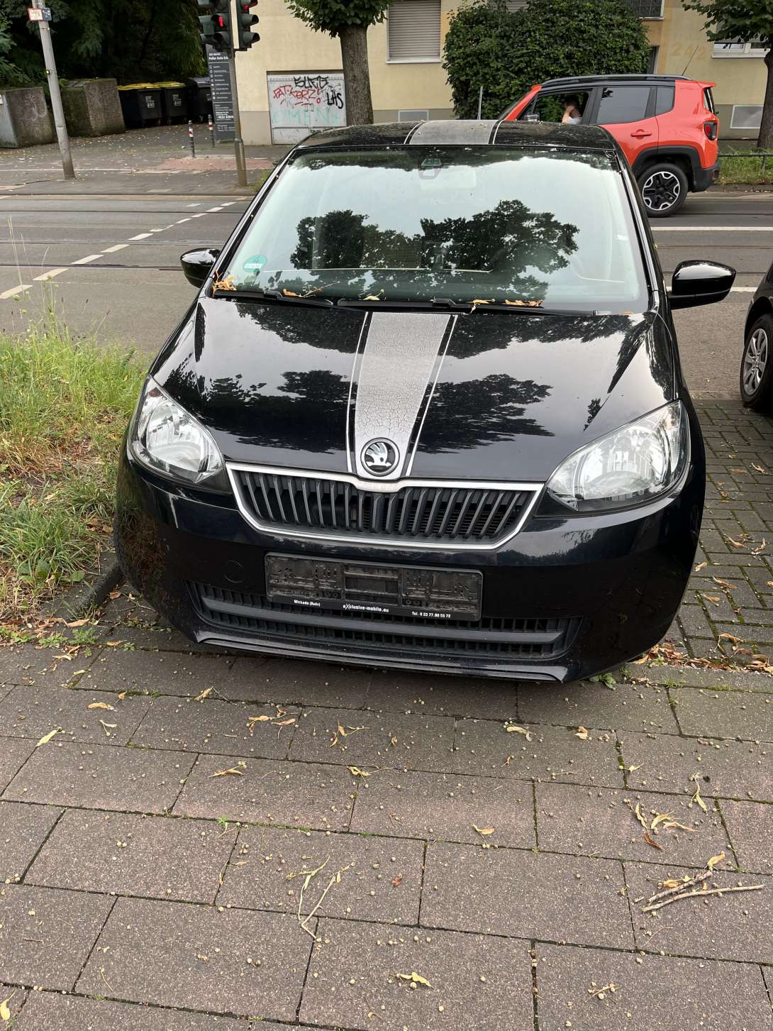 Bild zu gemeldetem Anliegen vom *2024-08-19 09:16:47