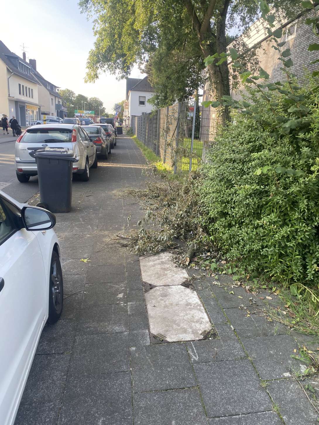 Bild zu gemeldetem Anliegen vom *2024-08-22 08:23:26