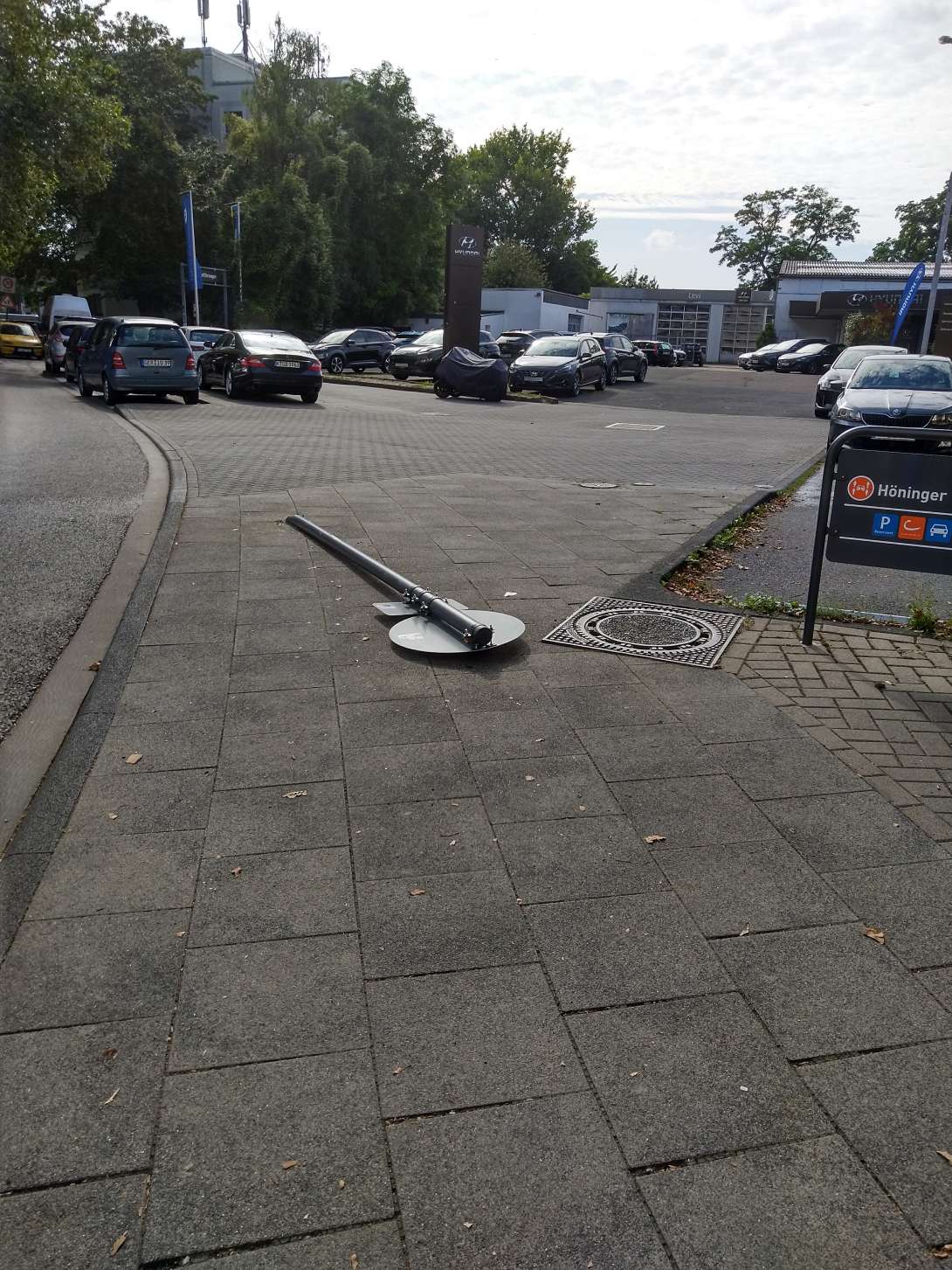 Bild zu gemeldetem Anliegen vom *2024-08-05 17:07:23