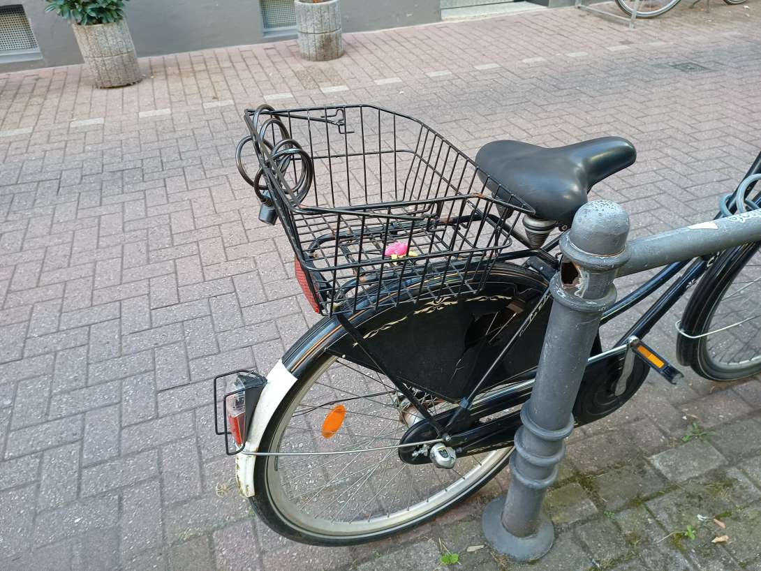 Bild zu gemeldetem Anliegen vom *2024-08-10 08:29:46