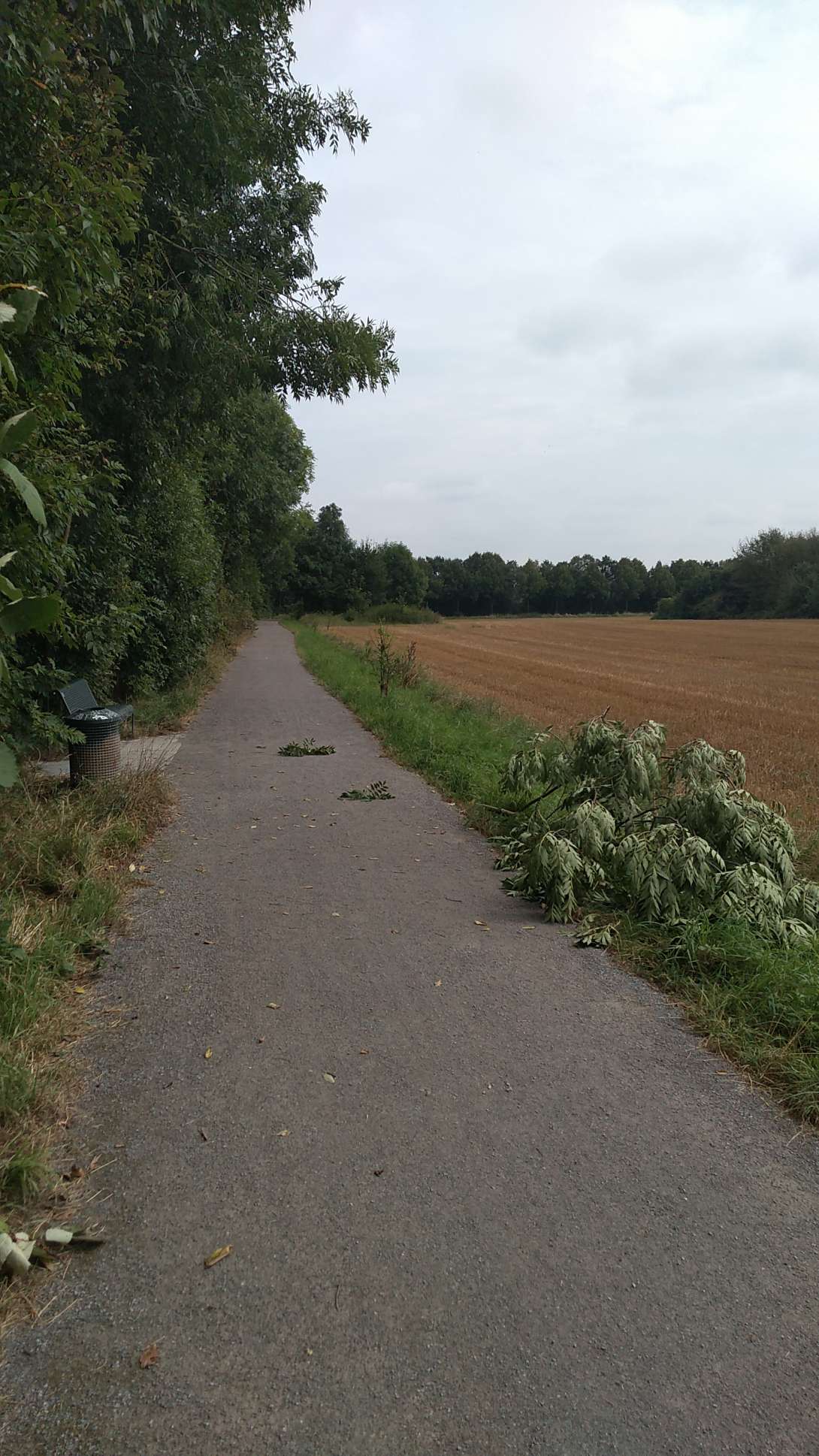 Bild zu gemeldetem Anliegen vom *2024-08-14 14:10:08