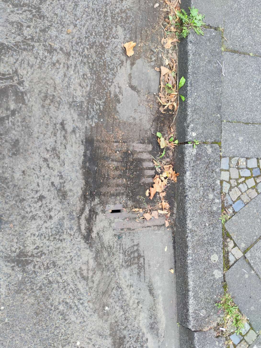 Bild zu gemeldetem Anliegen vom *2024-08-26 10:52:36