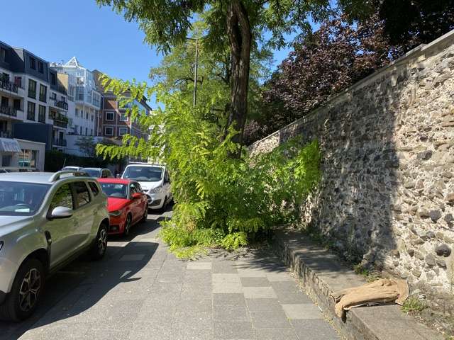 Bild zu gemeldetem Anliegen vom *2024-08-28 12:18:13