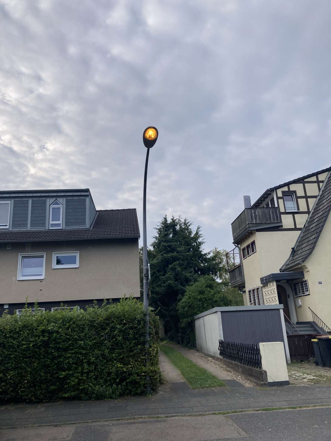 Bild zu gemeldetem Anliegen vom *2024-08-22 18:48:32
