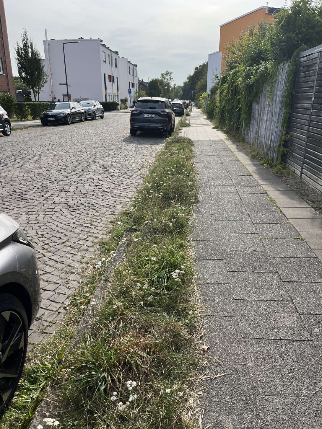 Bild zu gemeldetem Anliegen vom *2024-08-29 17:20:27