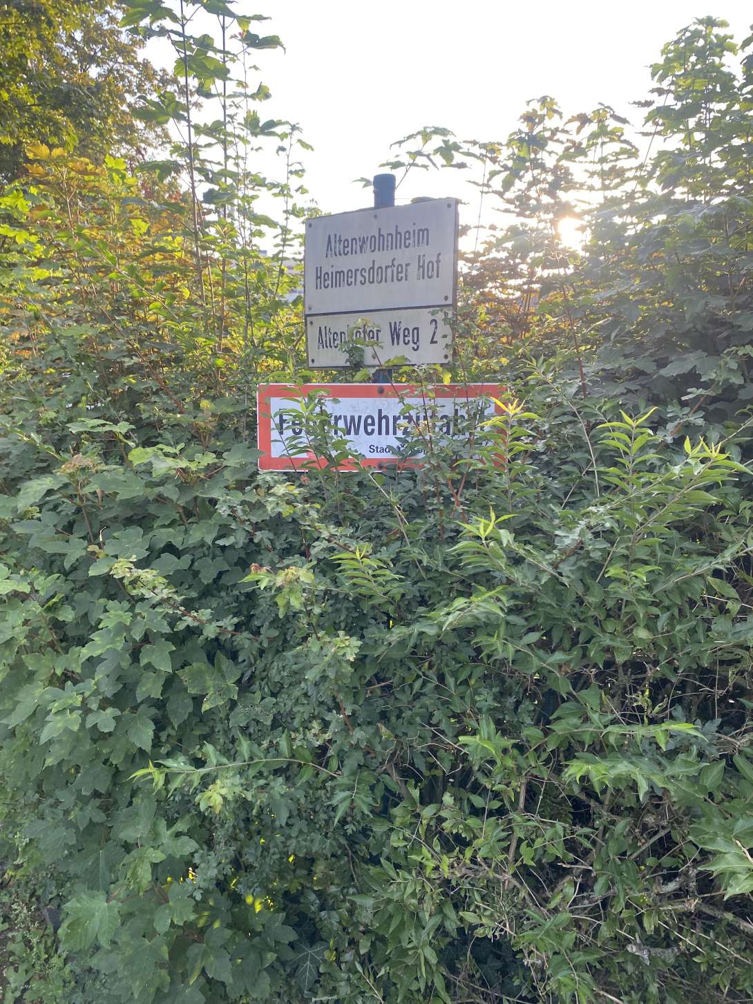 Bild zu gemeldetem Anliegen vom *2024-08-27 09:28:07
