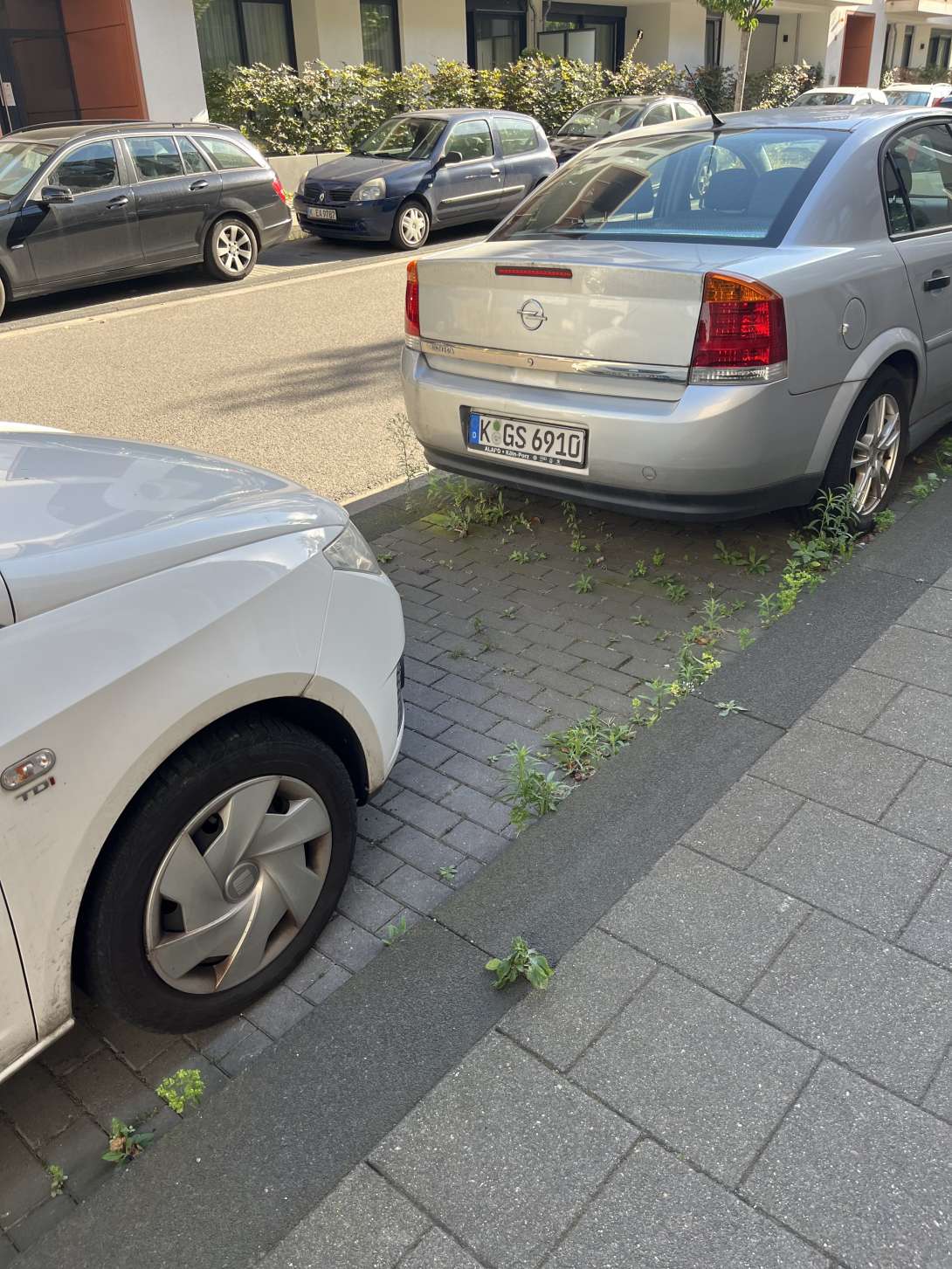 Bild zu gemeldetem Anliegen vom *2024-08-19 09:14:44