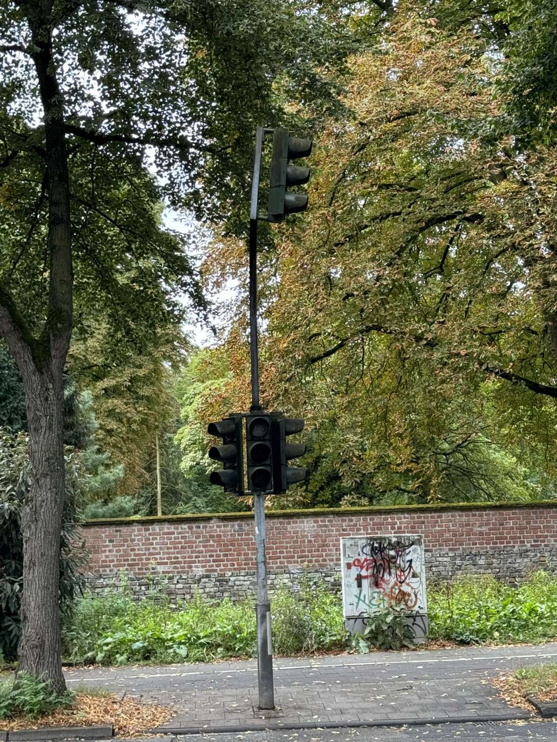 Bild zu gemeldetem Anliegen vom *2024-08-18 10:44:48