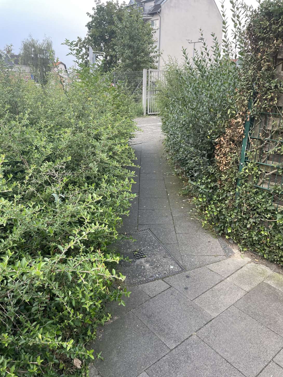 Bild zu gemeldetem Anliegen vom *2024-08-23 14:23:26