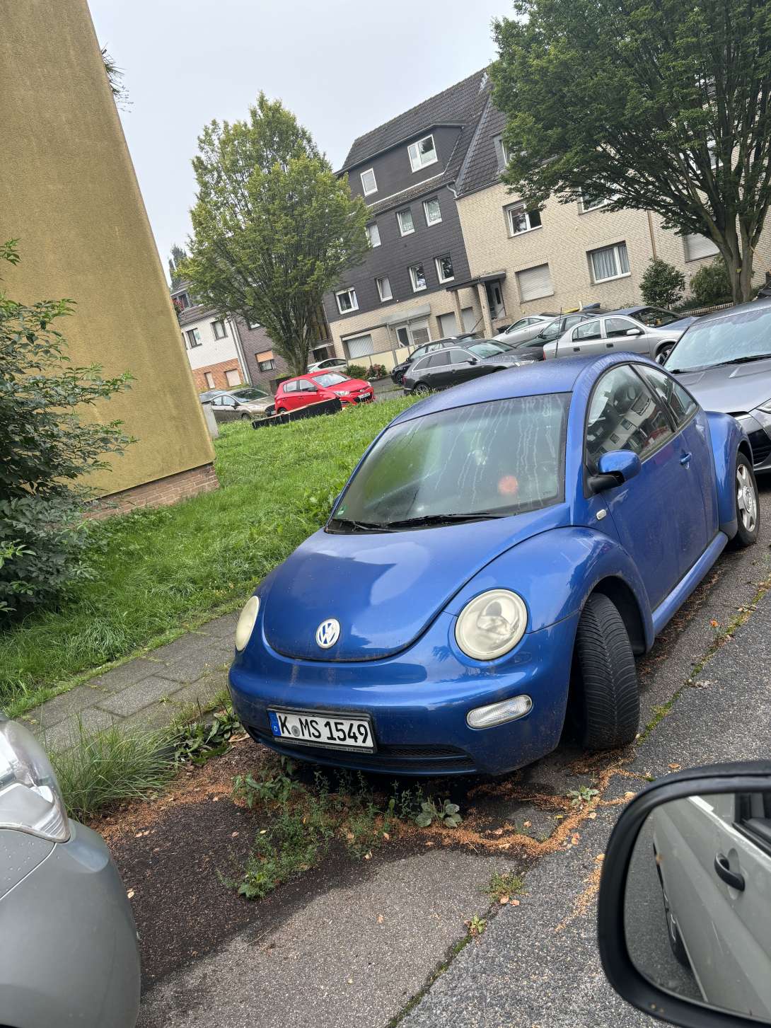 Bild zu gemeldetem Anliegen vom *2024-09-01 19:17:45