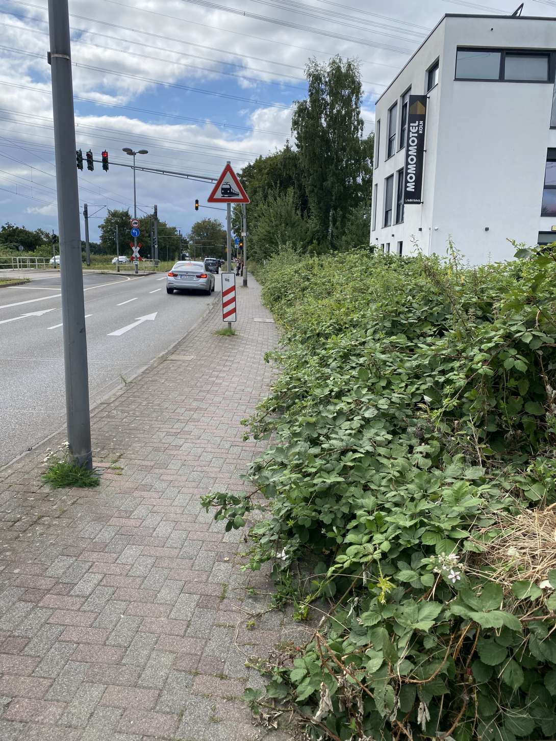 Bild zu gemeldetem Anliegen vom *2024-08-08 09:02:25