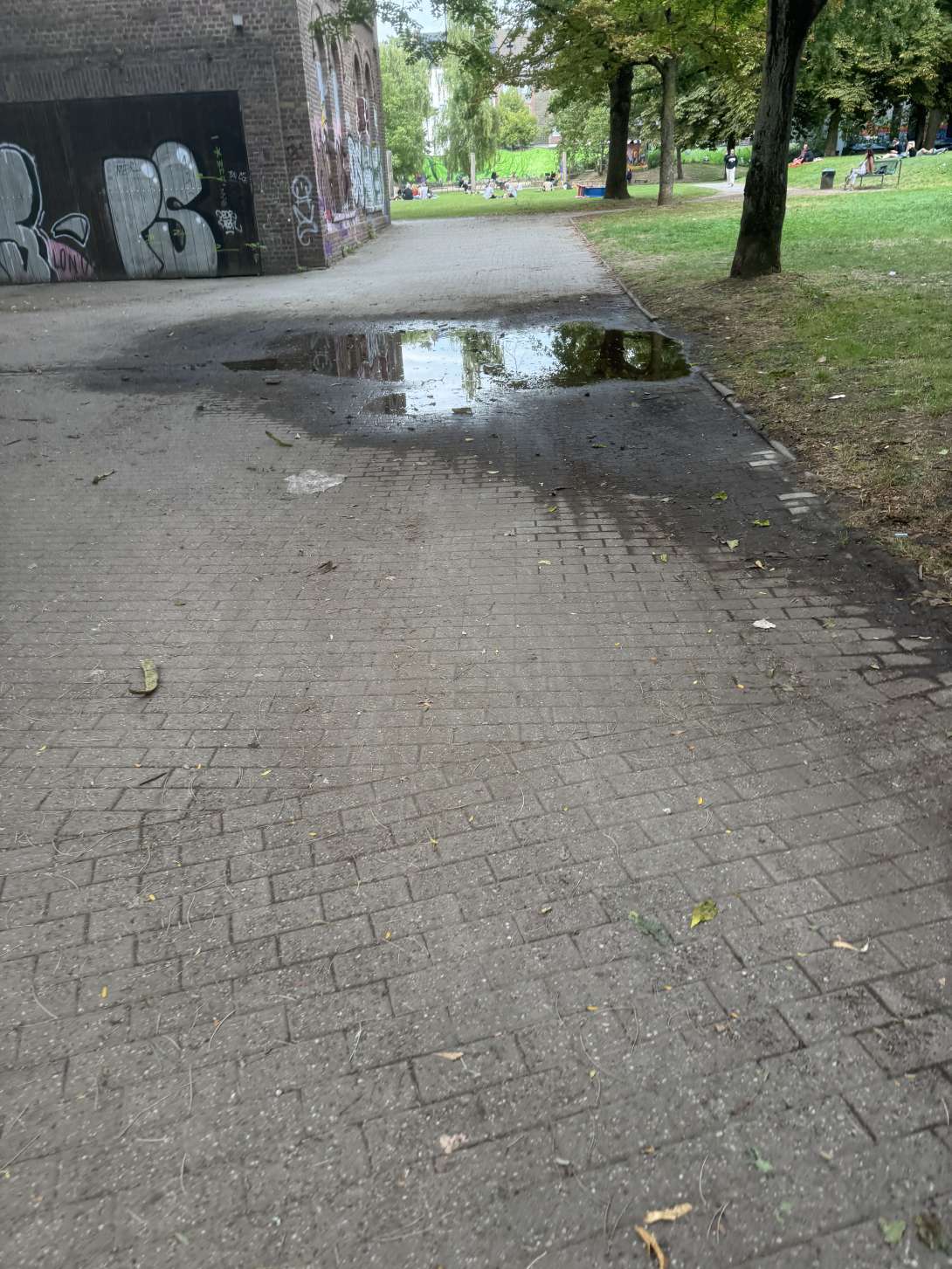 Bild zu gemeldetem Anliegen vom *2024-08-27 12:57:47