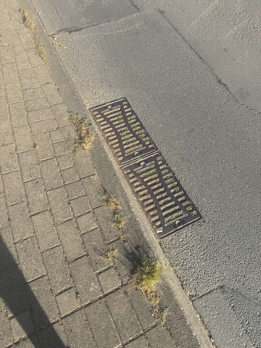 Bild zu gemeldetem Anliegen vom *2024-08-28 09:57:05