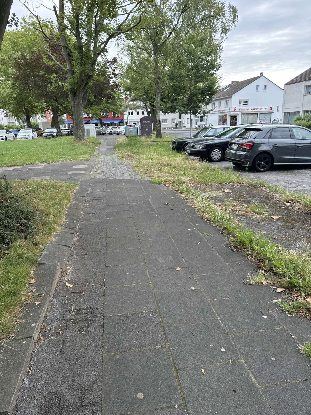 Bild zu gemeldetem Anliegen vom *2024-08-08 09:42:11